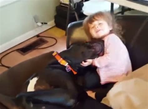 小女孩跟狗狗在沙发上玩耍，接下来的一幕把宝妈吓坏了