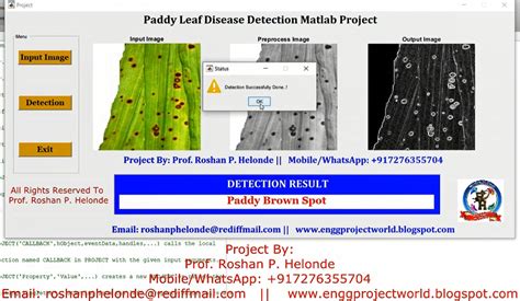 Image result for Plant Disease Detection MATLAB Source Code