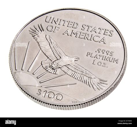platinum 100 dollar coin photographed on a white background Stock Photo ...