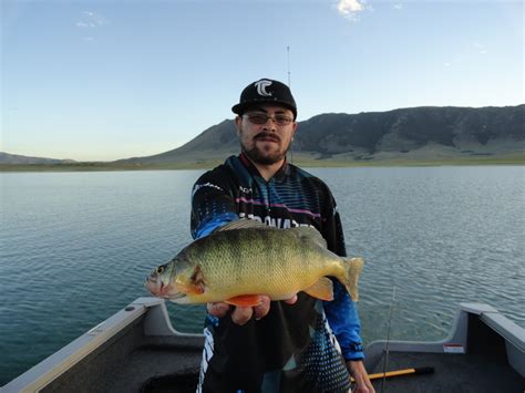 The Elusive Lake Hattie Perch - In-Fisherman