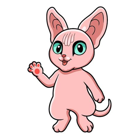 Cute minskin cat Vectors - Download Free High-Quality Vectors from ...