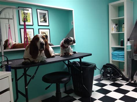 Ali here's your checkered floor :) | Dog grooming salons, Dog grooming ...