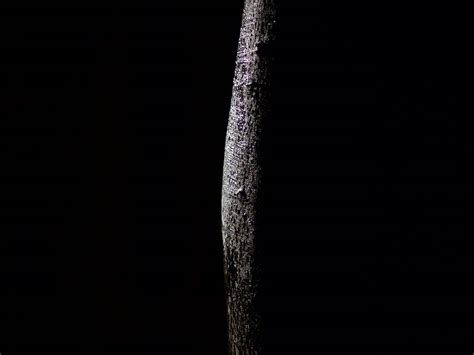 SonicMaps - Frondai’sons