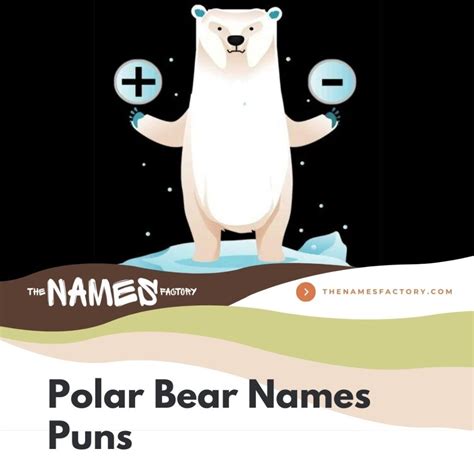 320+ Best Polar Bear Names for Your Snowy Buddy