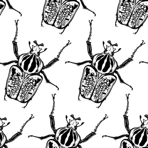 Chrząszcze Goliat na białym tle. Wzór z owadami. Szkic czarno-biały ...