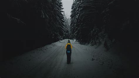 Download wallpaper 2560x1440 forest, road, silhouette, snow, winter ...