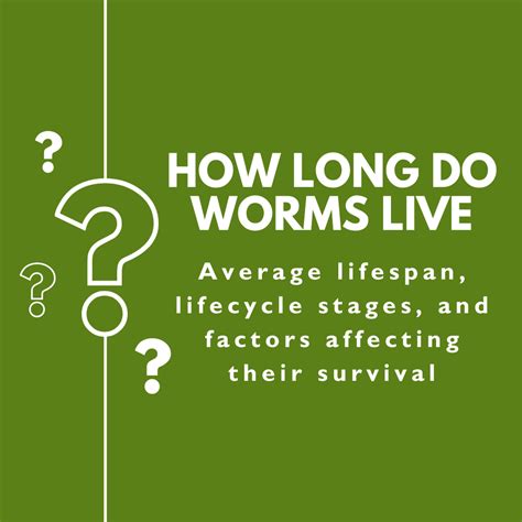 Compost Worms, Nightcrawlers, Worm Castings, & Red Wigglers for Sale ...