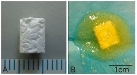 Materials | Special Issue : Scaffold Materials for Tissue Engineering