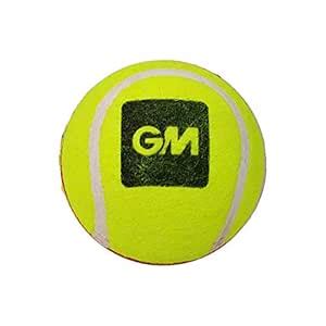 Gunn & Moore Rubber Swing King Tennis Cricket Ball (Red/Yellow ...