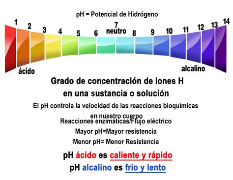 ¿Qué es el PH del cuerpo?-SALUD http://investigacionsaludable.wordpress ...