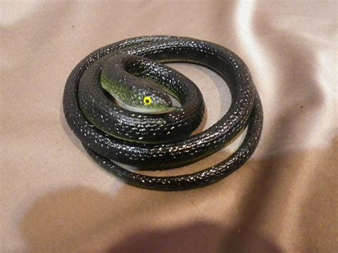 Image result for Scary Cockroach Pranks