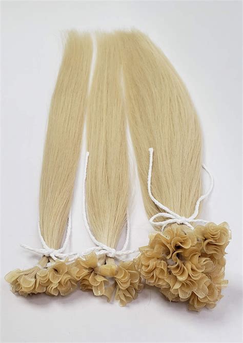 Fusion Extensions Tutorial 的图像结果