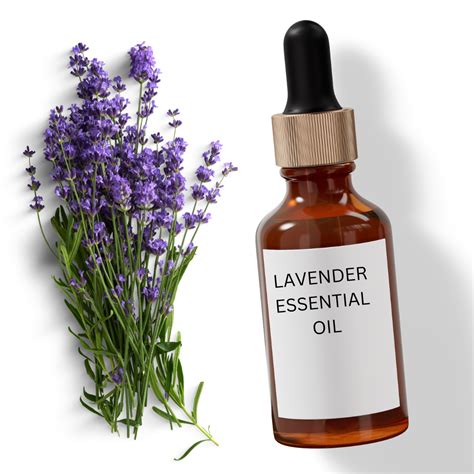 LAVENDER ESSENTIAL OIL