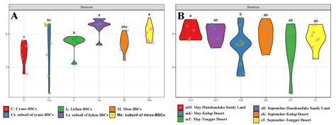 Spatiotemporal Dynamics of Bacterial Community Assembly and Co ...