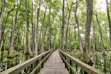 Natchez Trace Parkway - Visit Natchez