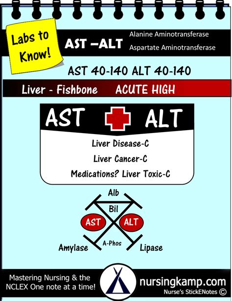 Lab values ast alt. Comprehensive Guide to AST and ALT Lab Values: Understanding Normal Ranges ...