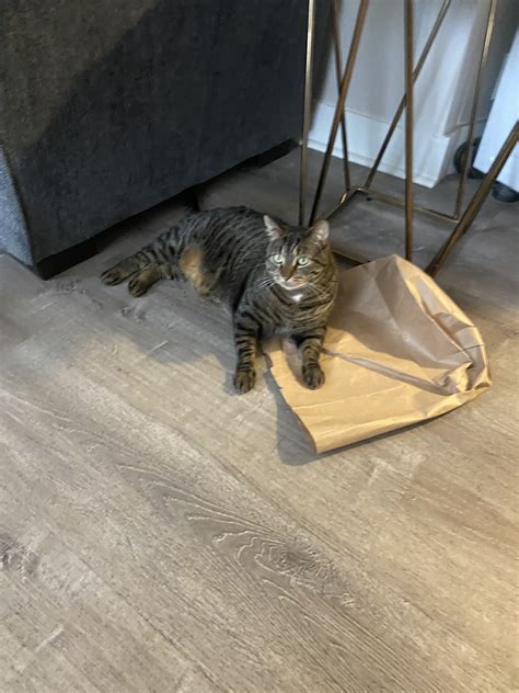 MSPCA AT NEVINS FARM - Methuen MA - Hours, Directions, Reviews - Loc8NearMe