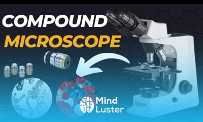 Image result for Compound Microscope Side View