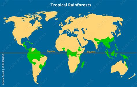 Tropical rainforests, rain forest in earth equator map. Green trees ...