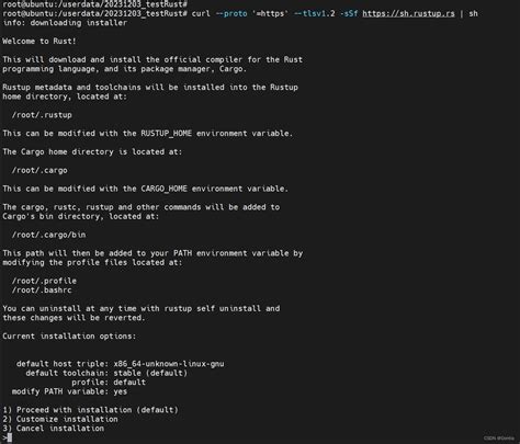 How to Start Rust 的图像结果