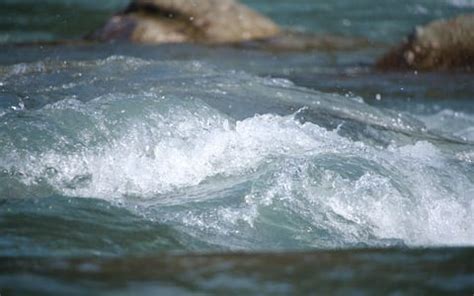 Image result for 必应上的热点