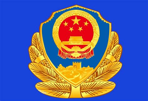 典型案例 / 政府机关单位_重庆市戴勋科技有限公司【官网】