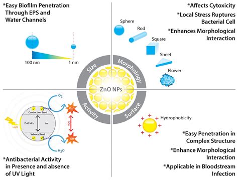 Nanoparticle-Doped Antibacterial and Antifungal Coatings