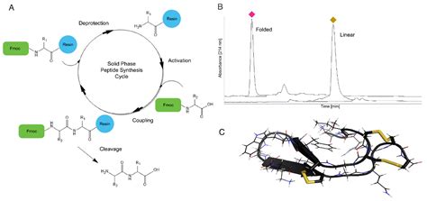 From Mollusks to Medicine: A Venomics Approach for the Discovery and ...