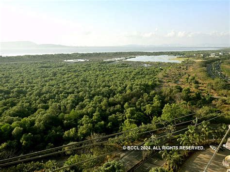 Other sites - With 50% increase, it's been a good year for wetlands in ...