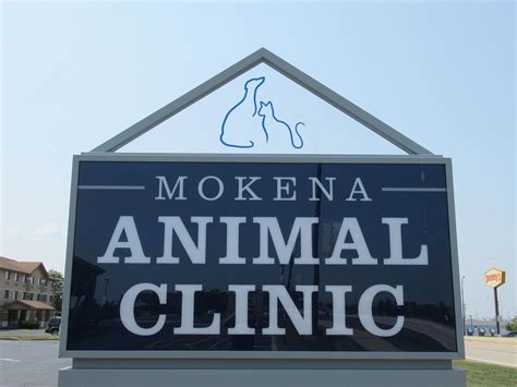 Pet Surgery in Mokena, IL at Mokena Animal Clinic