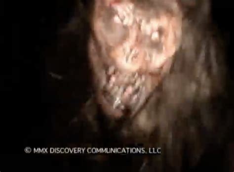 Lost Tapes Creatures 的图像结果