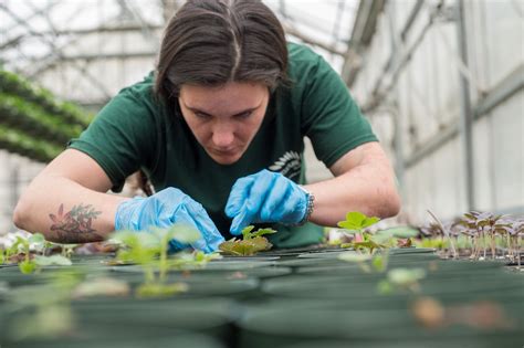 1.1 What is horticulture? – The Science of Plants