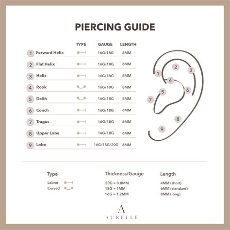Ear Lobe Gauge Size Chart at June Blackwell blog