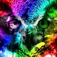 Neon Owl Wallpaper by Neon Owl By Ronskater1 On Deviantart Neon Owl Wallpaper