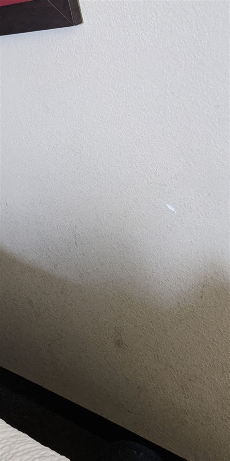 RED ROOF INN - RICHMOND SOUTH - Updated 2025 Prices & Hotel Reviews (VA)