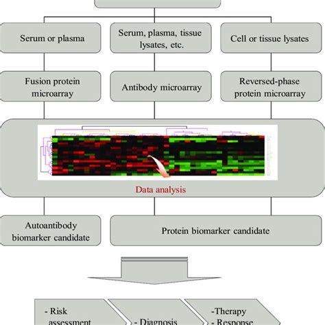 Protein Microarray Applications 的图像结果