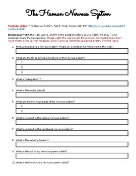 Image result for Crash Course Nervous System