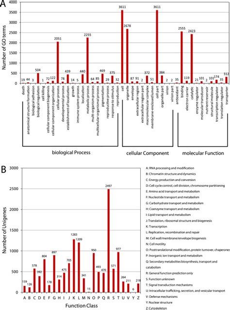 Image result for How to Classify Using a Functional Based Classification