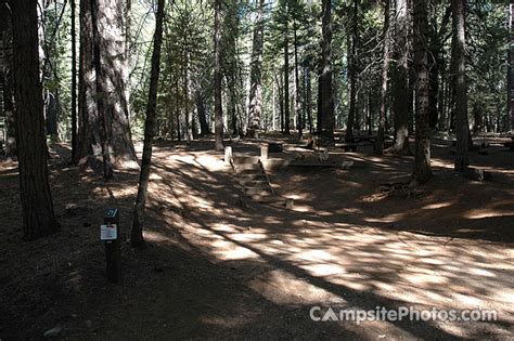 Image result for Stumpy Meadows Map