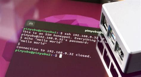 Image result for Network Scanner Raspberry Pi