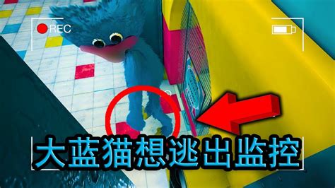 玩具成精了：大蓝猫偷偷跑到玩具大厅，它想要逃离监控？_腾讯视频