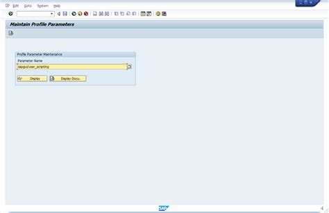 SAP GUI Automation 的图像结果