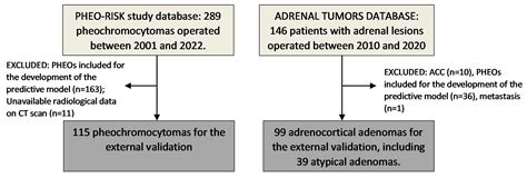 An Integrated CT and MRI Imaging Model to Differentiate between Adrenal ...