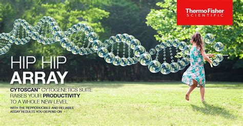 Image result for CytoScan Microarray OncoScan