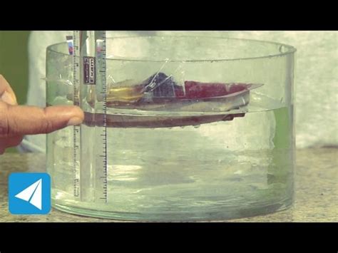 Image result for Example 1 Object That Float