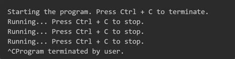 Image result for How to Stop a Python Program within Code