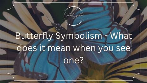 Butterfly Release Symbolism at Jamie Gibb blog