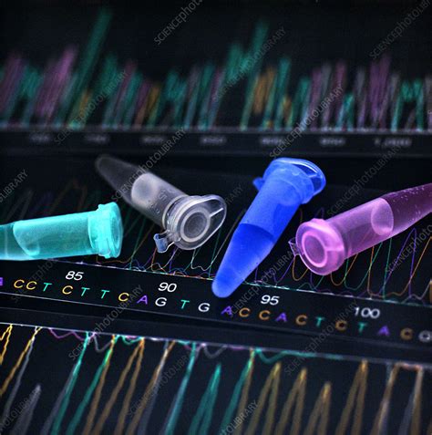 Image result for What Is DNA Analysis