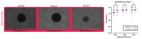 Evaluation of Spheroid Formation and Robustness using Millicell® Ultra ...