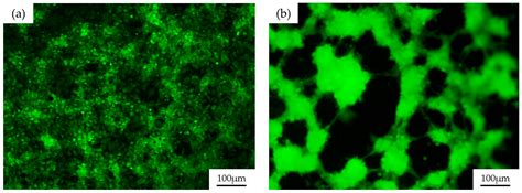 Study of Different Sol-Gel Coatings to Enhance the Lifetime of PDMS ...